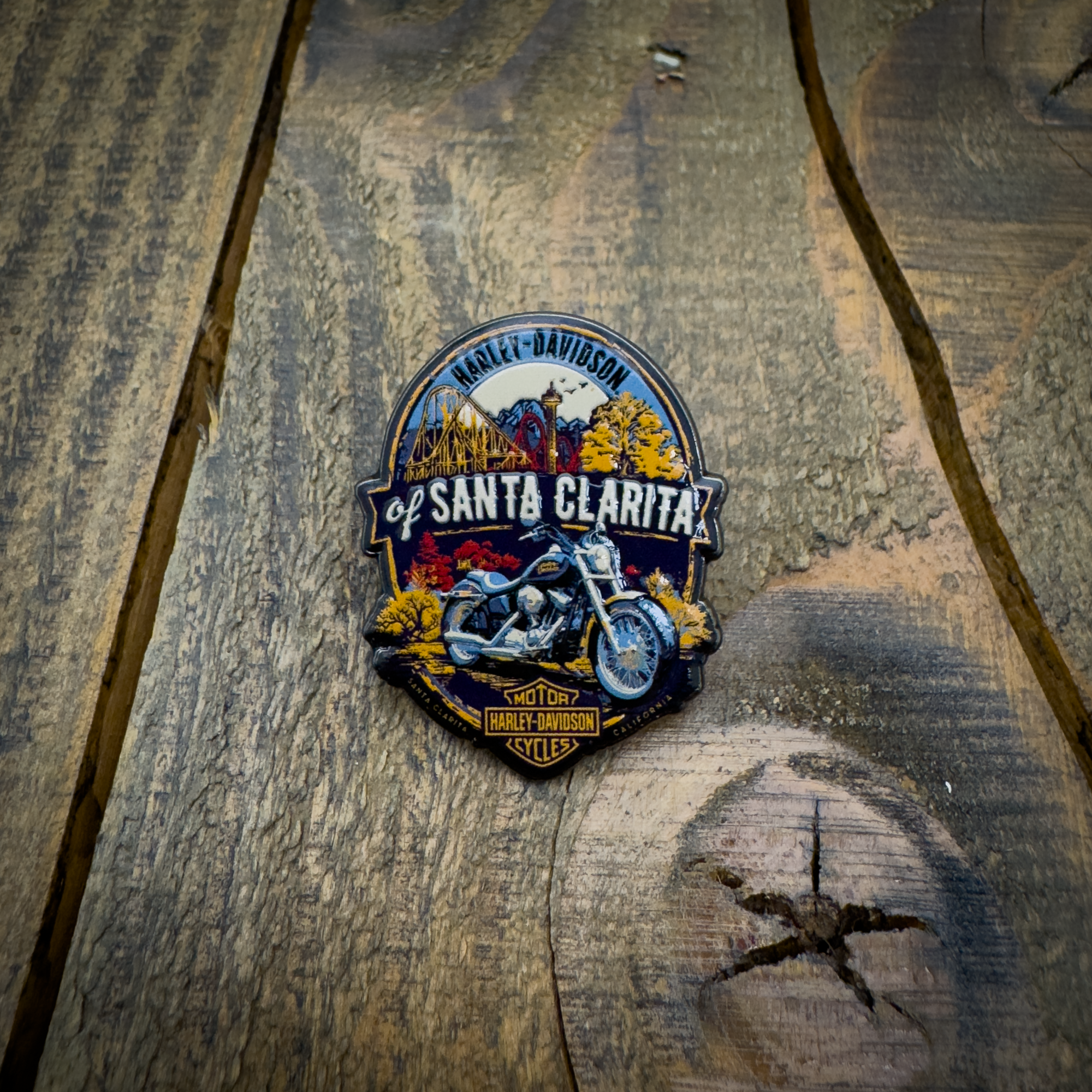 HDSC Theme Park Pin