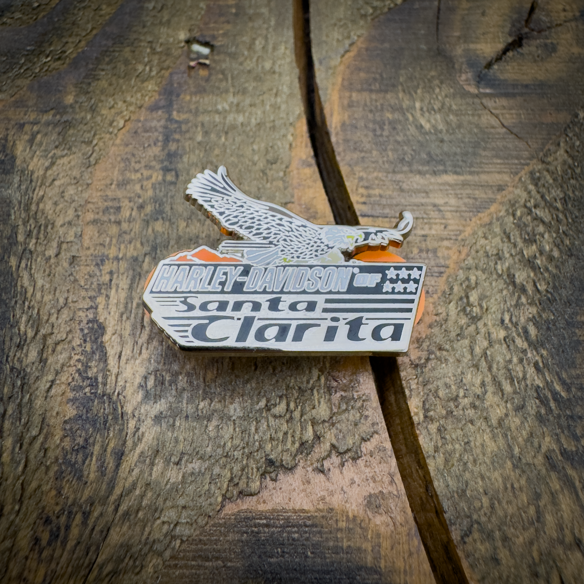 HDSC Eagle Pin