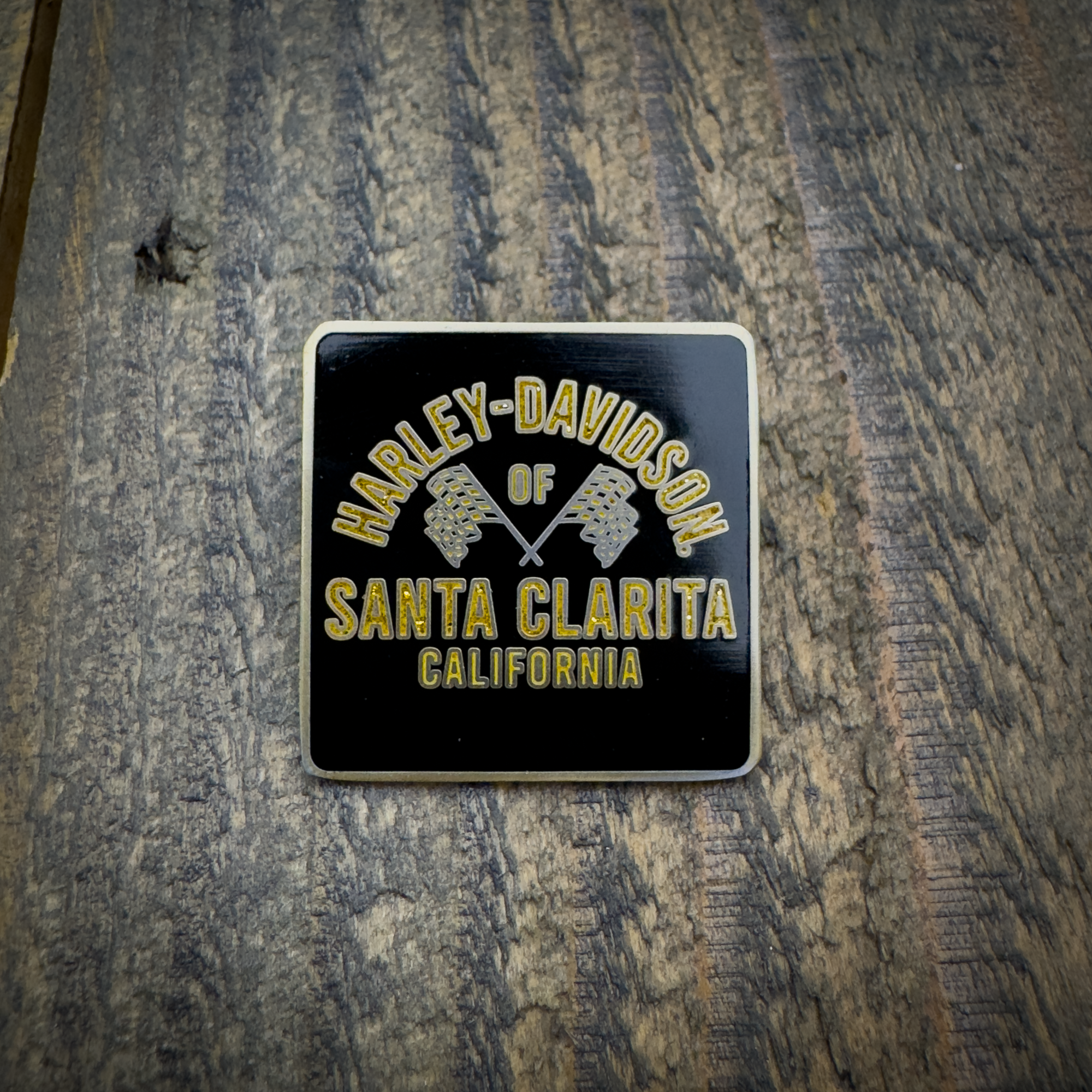 HDSC Racer Pin