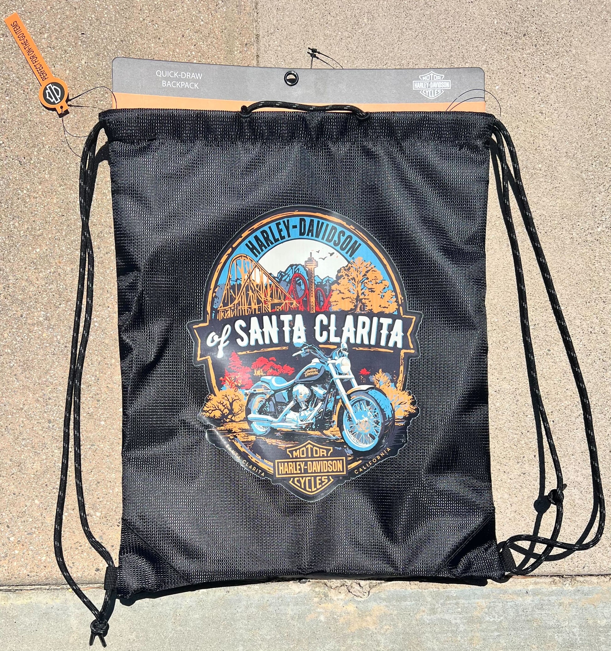Theme Park Sling Backpack