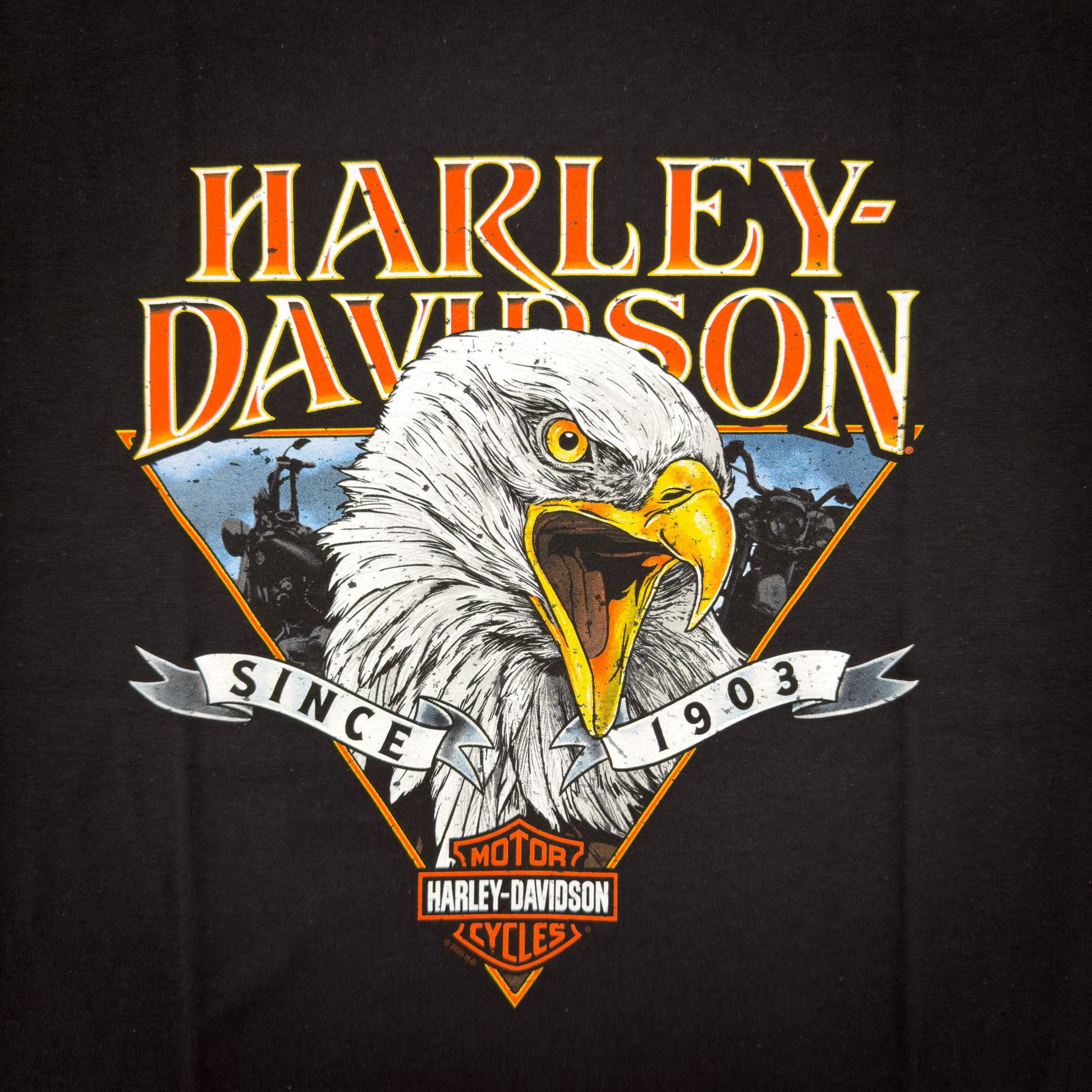 Bold Legend Eagle T-Shirt – Harley-Davidson® of Santa Clarita E