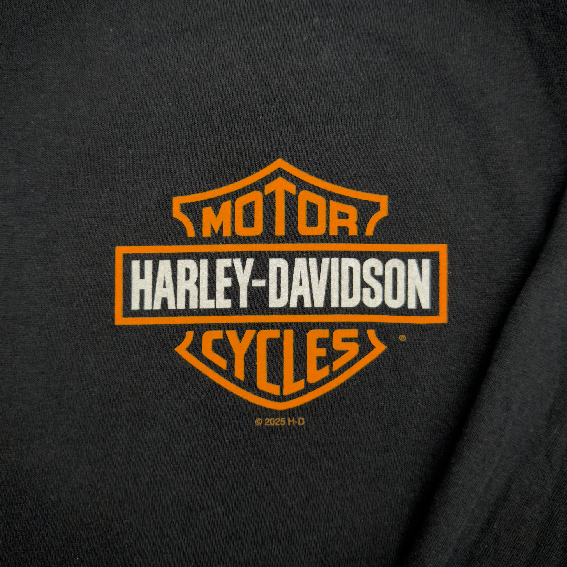 Santa Clarita Harley-Davidson® Black RP1000 Long Sleeve T-Shirt Front Design