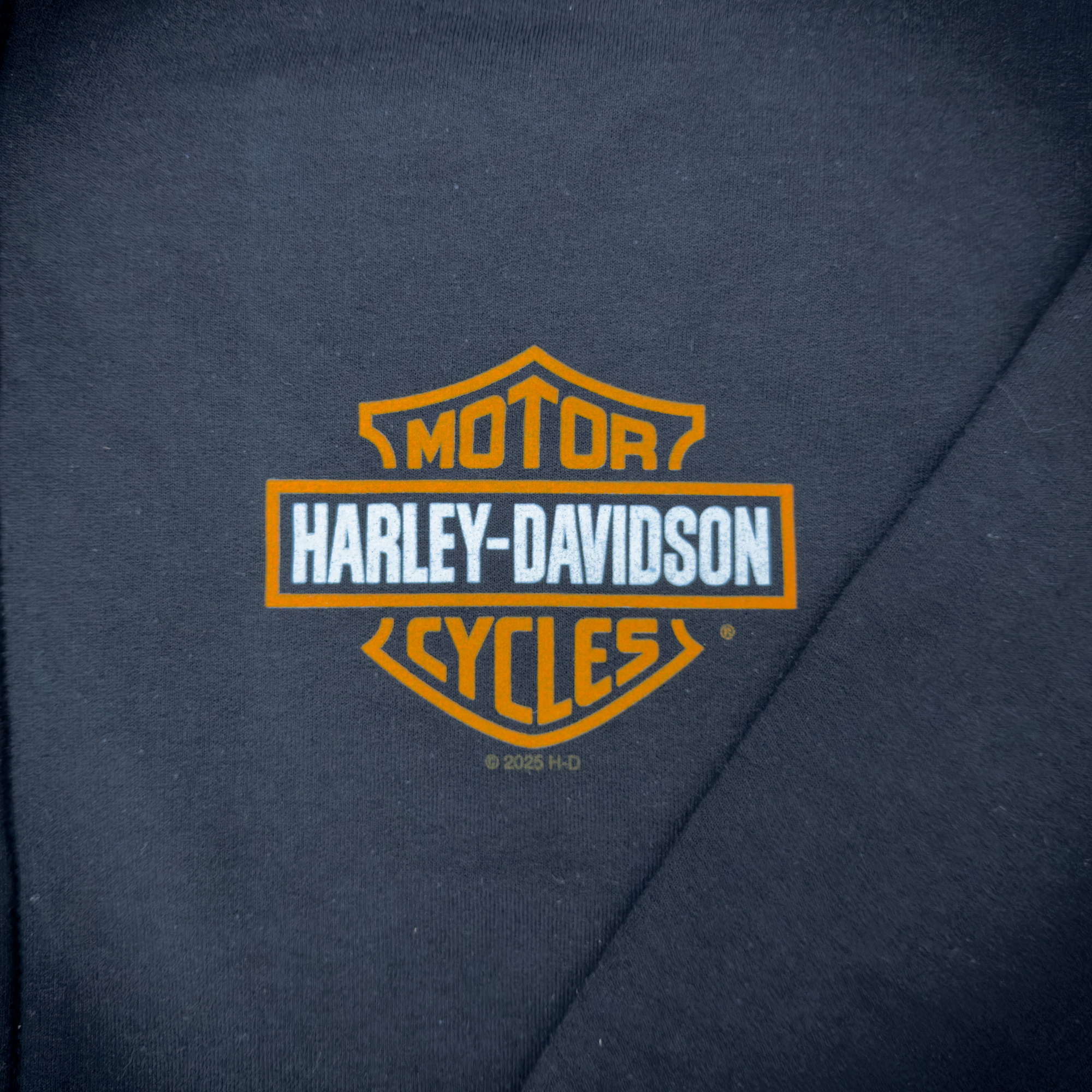 Santa Clarita Harley-Davidson® Black RP1000 Zip-Up Hoodie Front Design